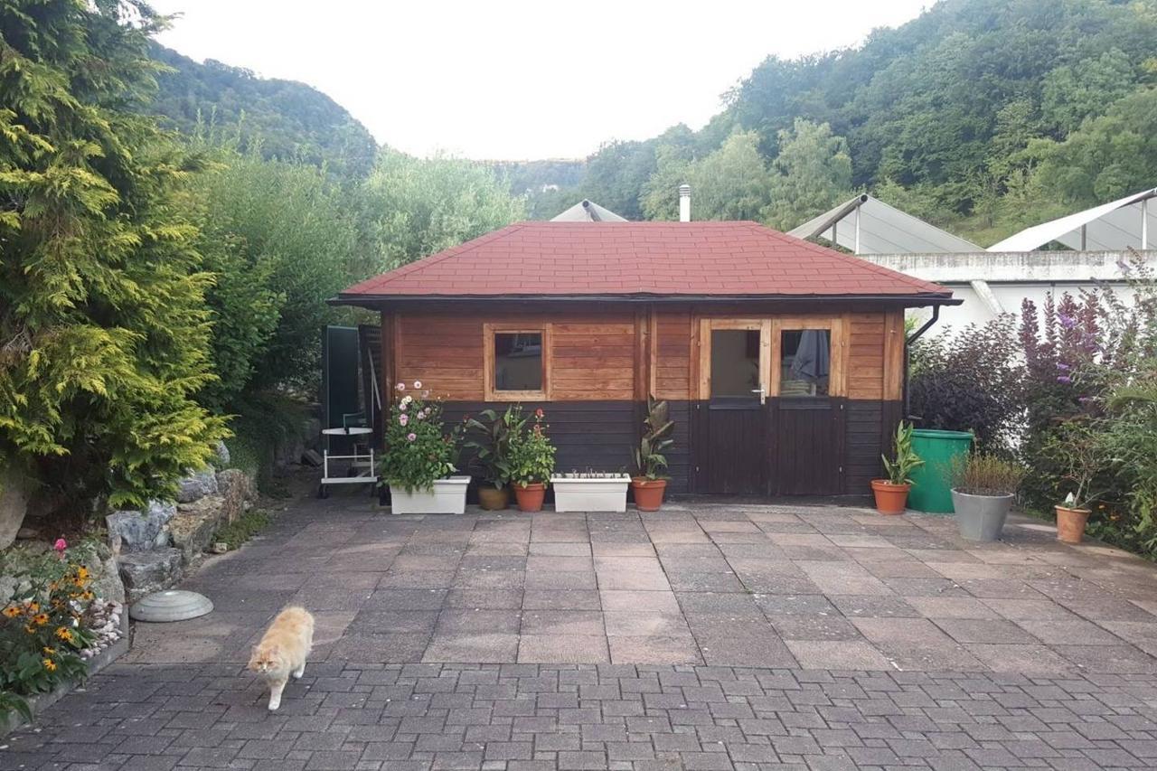 莫娜的住宿加早餐旅馆 Buren  外观 照片