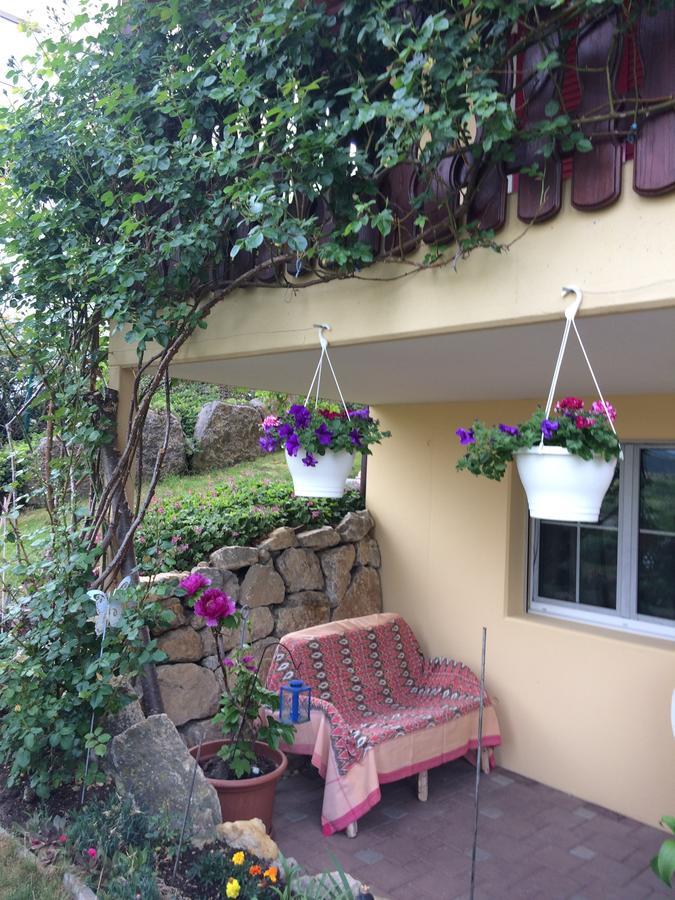 莫娜的住宿加早餐旅馆 Buren  外观 照片